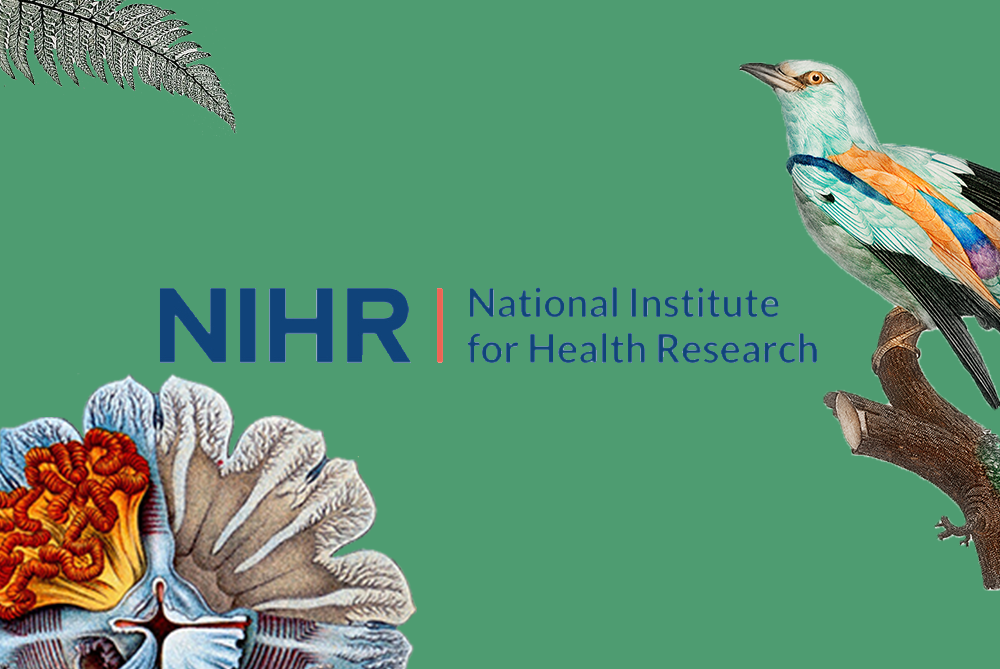 National Institute of Health Research logo