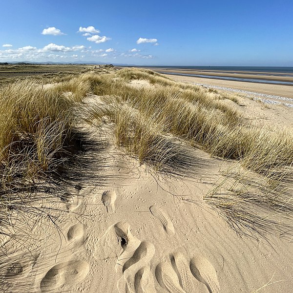 Footprints in Gronant Dunes sand