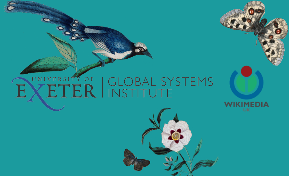 Logos of uni of Exeter, GSI and Wikimedia UK surrounded by birds, flowers and butterflies