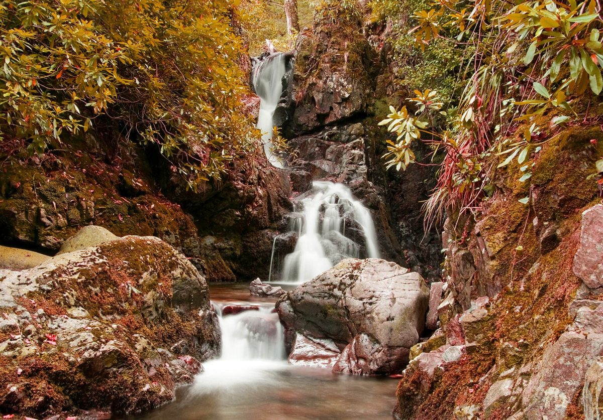Photograph of a waterfall and autumn trees in Tollymore Forest Park.