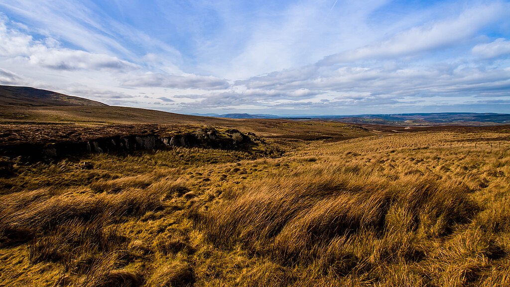 Photograph of gold and green grasses across Cuilcagh Mountain under a blue sky.