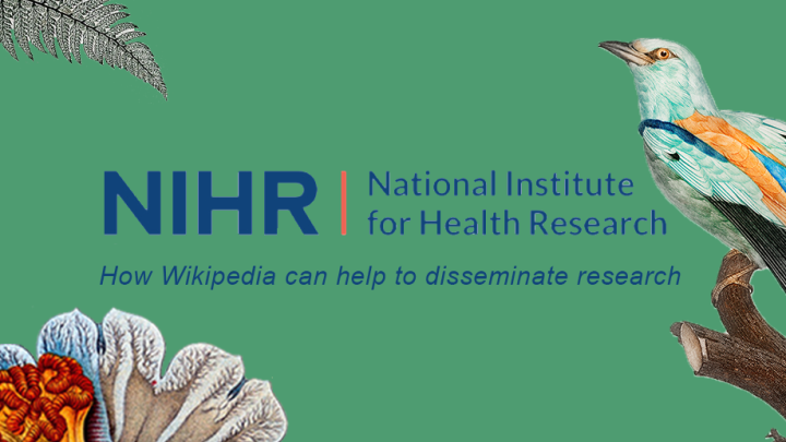 NIHR logo on a green background with the title of the blog beneath it.