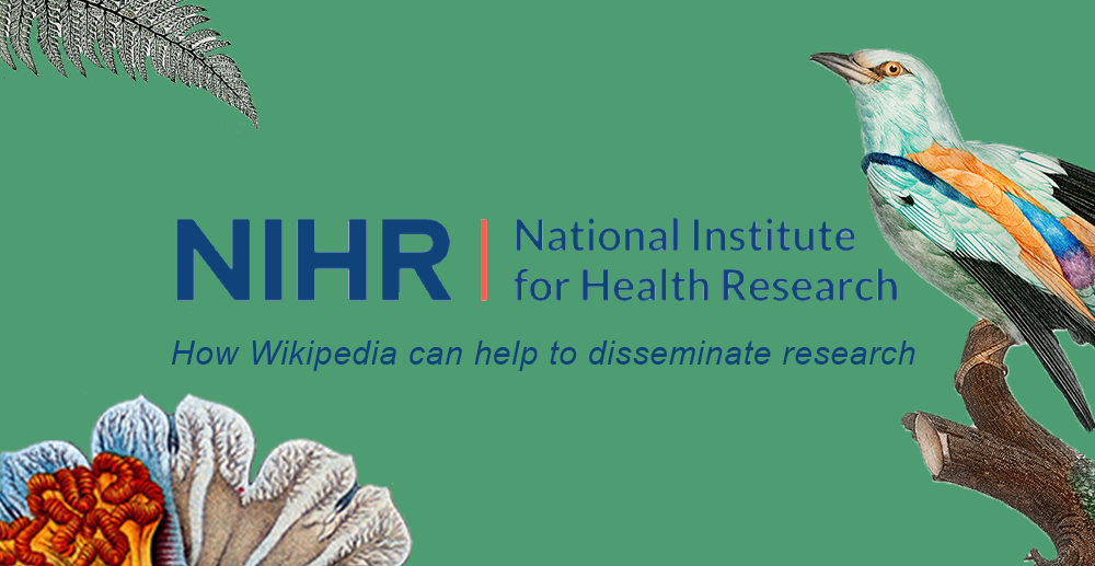 NIHR logo on a green background with the title of the blog beneath it.