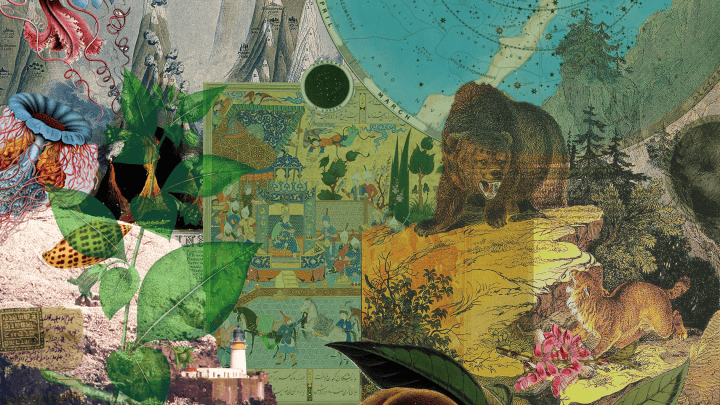 Collage of images from Wikimedia Commons in greens