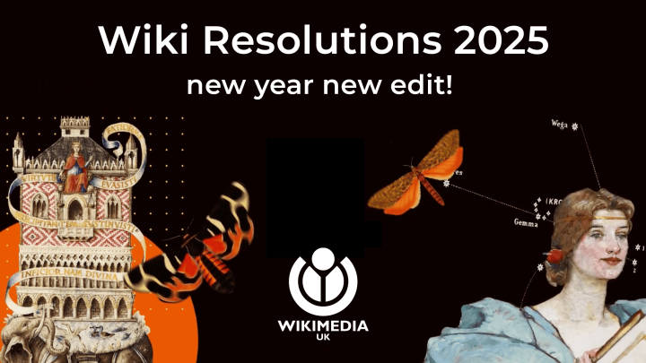 Black banner with white text reading: Wiki Resolutions 2025, new year new edit! Accompanied by images from Wikimedia Commons of butterflies, an illustration of an elephant and a painting of a woman.