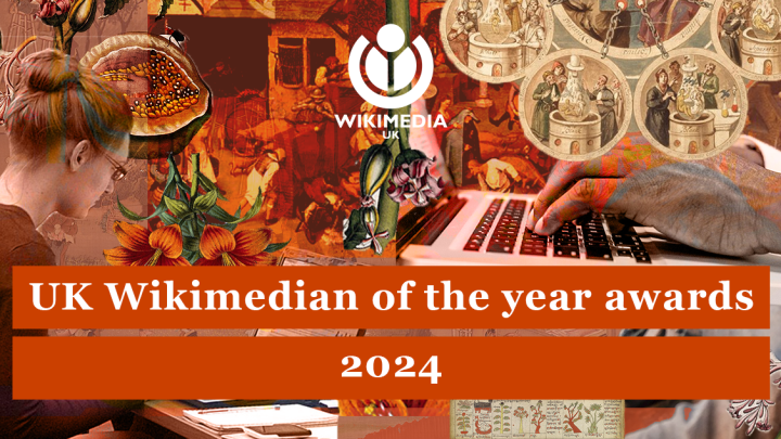 Collage of red toned images from Wikimedia Commons with white text overlaid reading: 'UK Wikimedian of the year 2024'